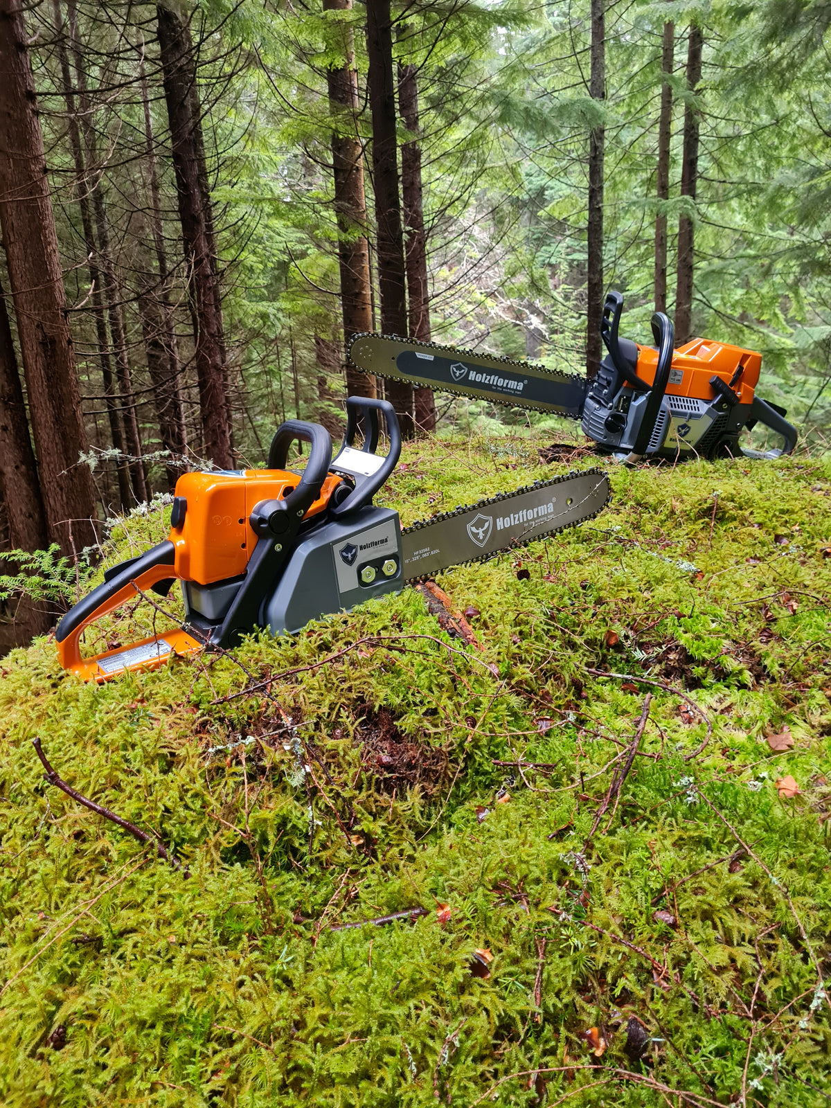 Two Holzfforma chainsaws resting on a mossy forest floor surrounded by pine trees